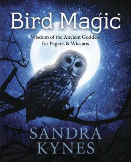 Bird Magic: Wisdom of the Ancient Goddess for Pagan and Wiccans by Sandra Kynes image 0